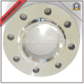 Stainless Steel Slip on Flanges (YZF-FZ210)